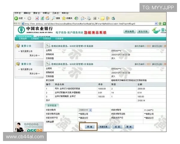 利用U体育官网平台进行游戏充值的安全流程与常见支付问题解决方案